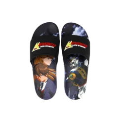 Relena And Heero Big Print Slides