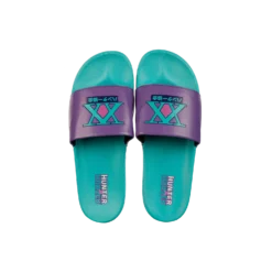 Hunter X Hunter Slides